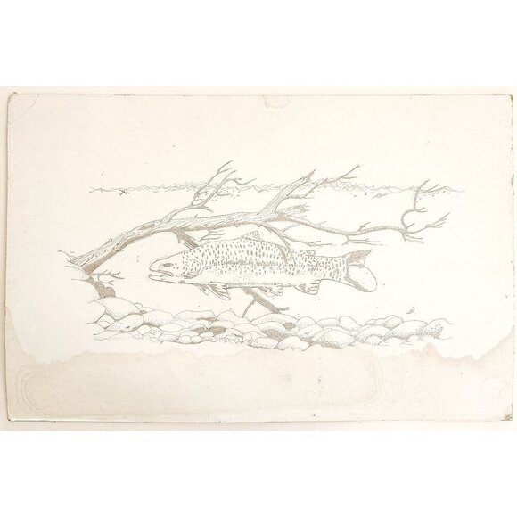 1960-70s Original Art Pencil Drawing Trout Fish Swimming OOAK Unsigned DWWW14 - Picture 2 of 2